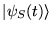 $\vert\psi_S(t)\rangle$