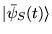 $\vert\bar{\psi}_S(t)\rangle$
